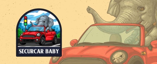 VERONICA FRAGA CASTRO